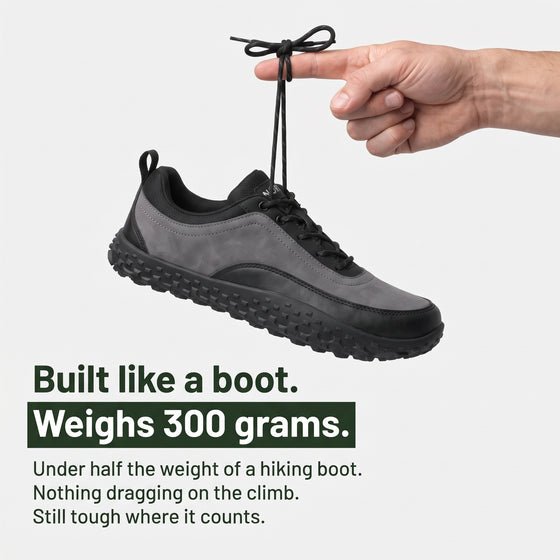 North Terrain — $87 Today